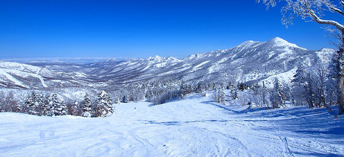 志賀高原スキー場（全山）