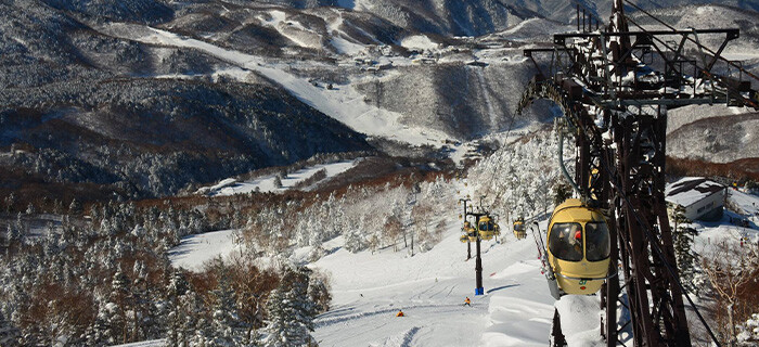 志賀高原スキー場（全山）