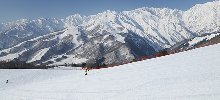 白馬岩岳スノーフィールド