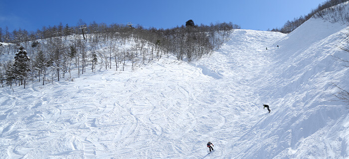 白馬岩岳スノーフィールド